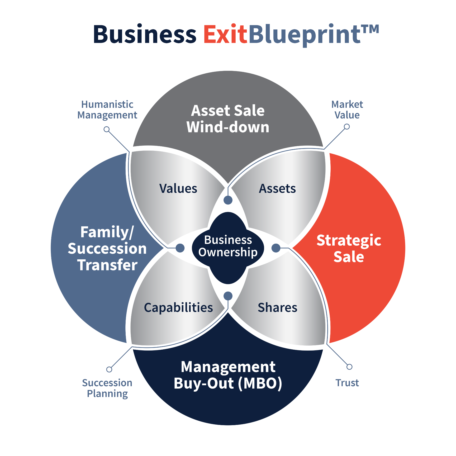 Business ExitBlueprint™ framework diagram showing four exit paths: Asset Sale Wind-down, Strategic Sale, Management Buy-Out and Family/Succession Transfer, overlapping around Business Ownership